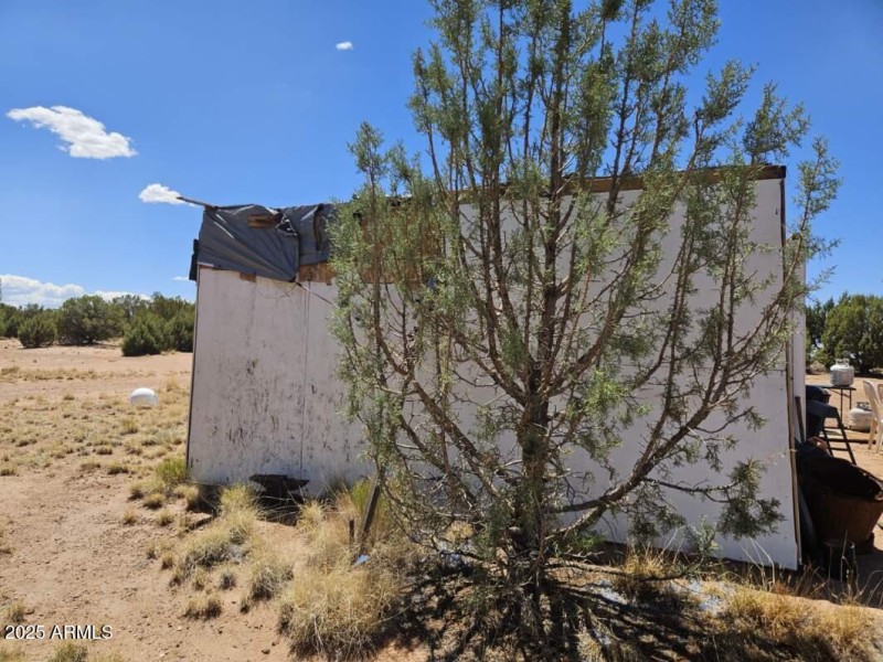 Resized_20250709_133230 (1)