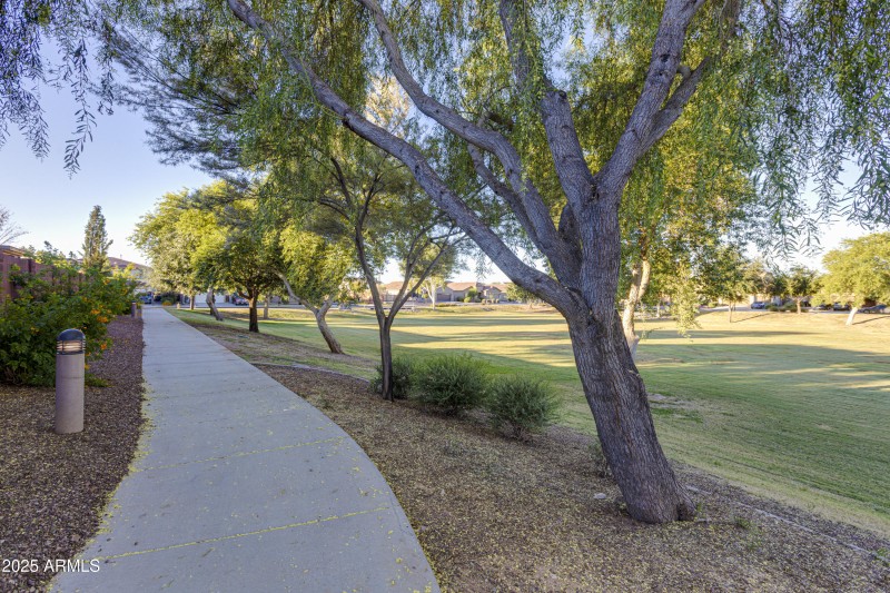 17391 W Fetlock Trail-51