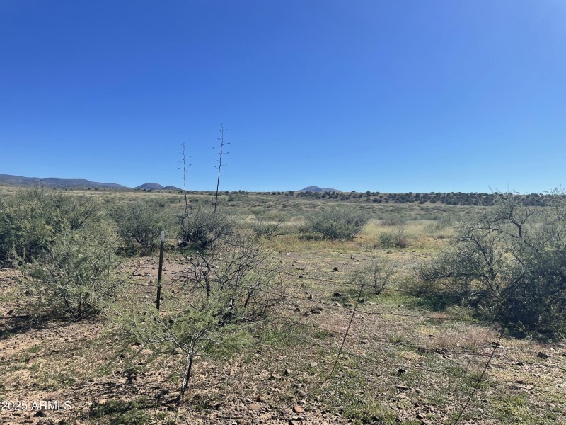 View from back of lot East