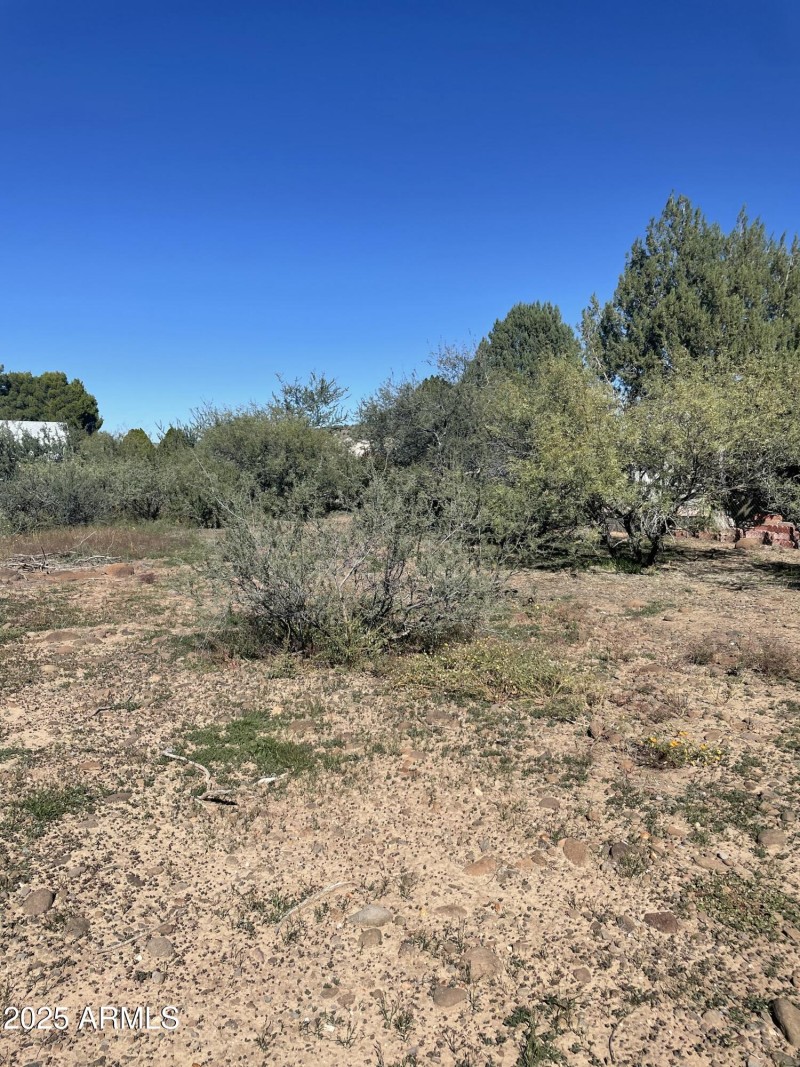 View from back of lot facing front 2