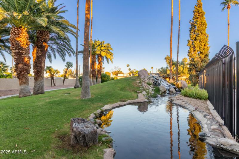 Lush Green Grash and Water