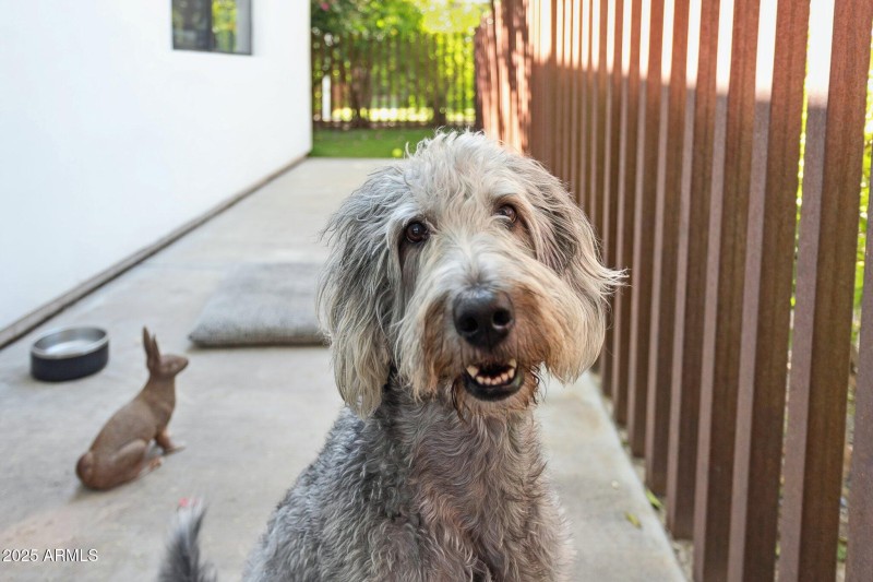 61-web-or-mls-7005-e-jackrabbit-rd