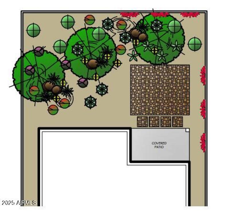 Backyard rendering- in progress