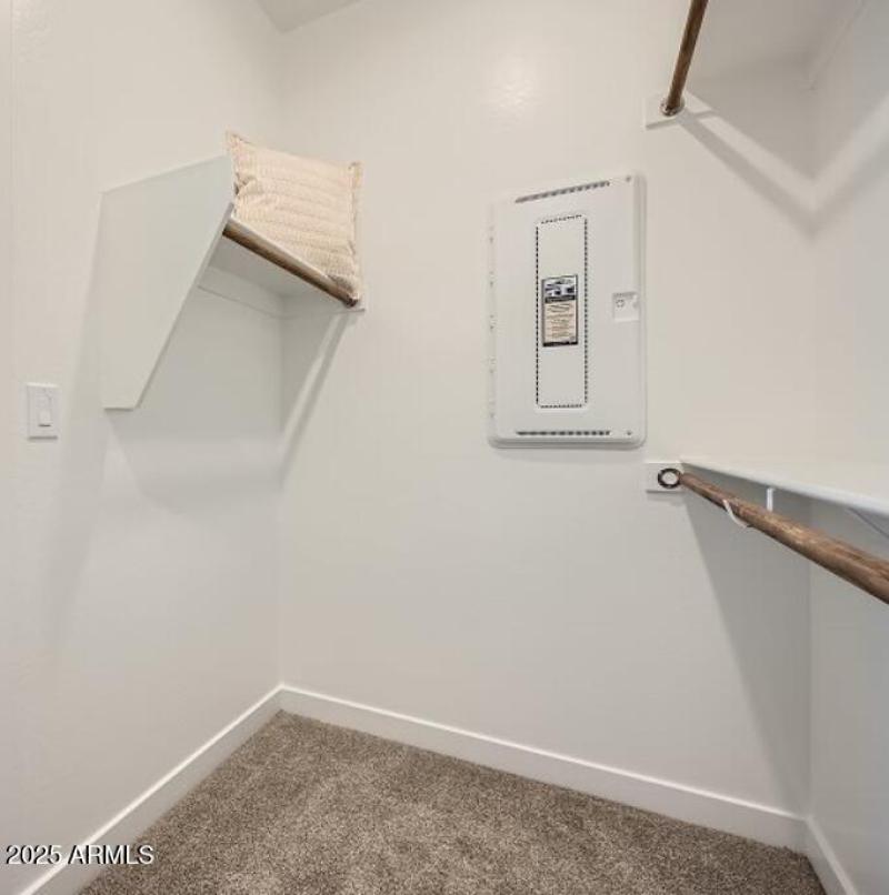 Owners Walk in Closet