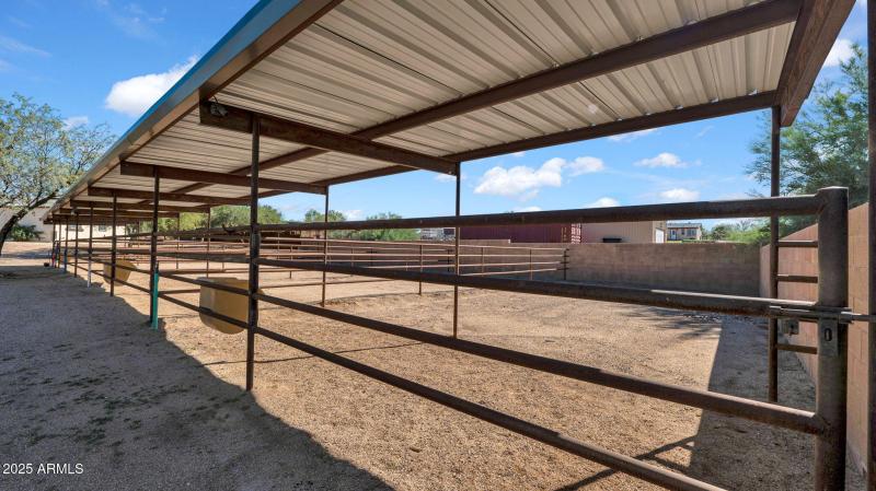 53-web-or-mls-P1188684