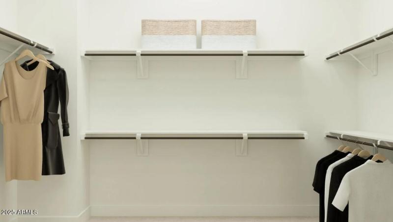 Owners Walk in Closet