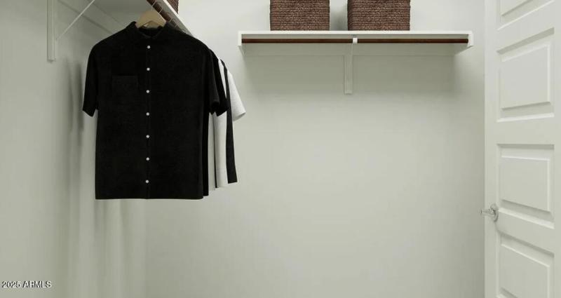 Owners Walk in Closet