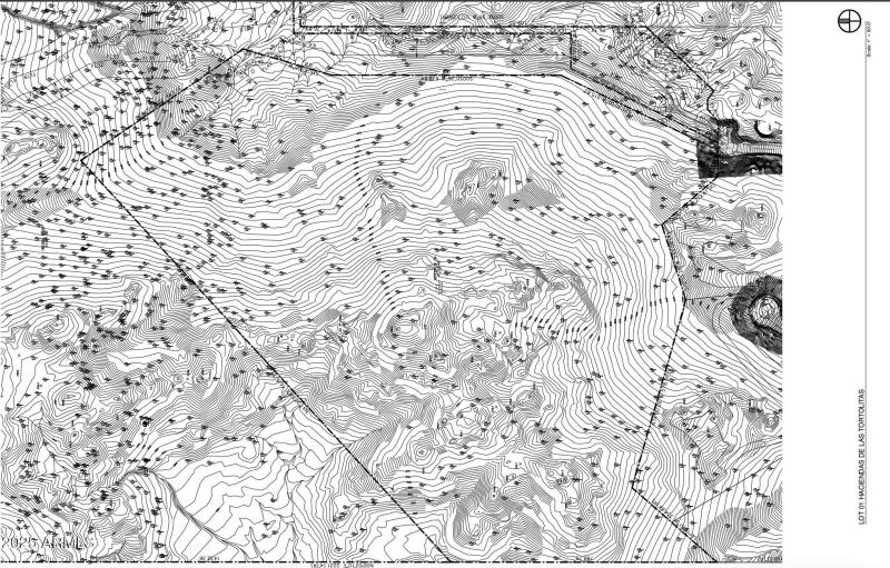 Screen Shot 2025-10-29 at 4.41.11 PM