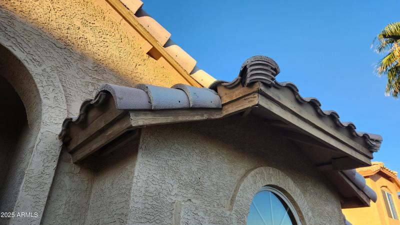 Eaves and fascia need to be painted