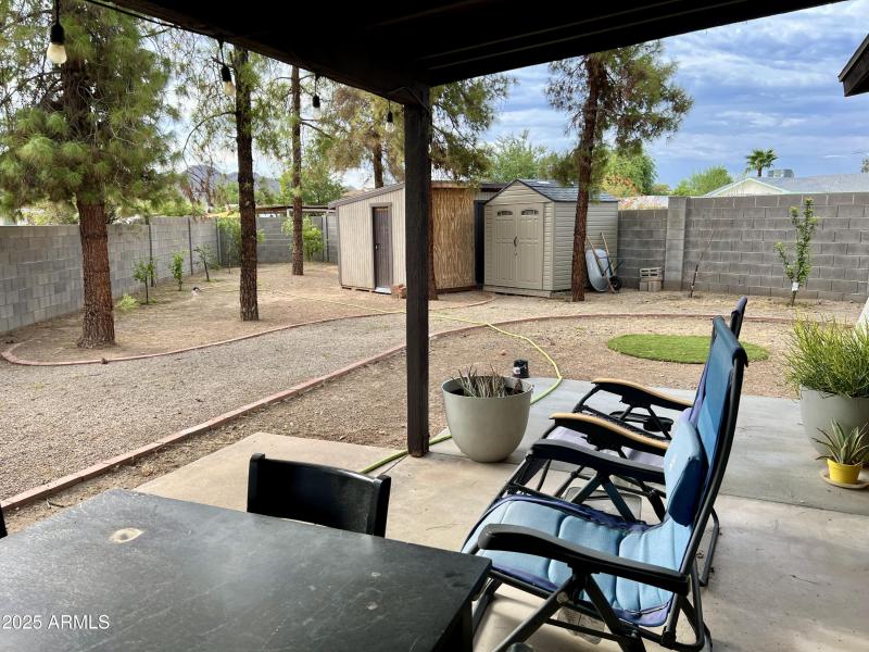 IMG_20251029_214652 (3)