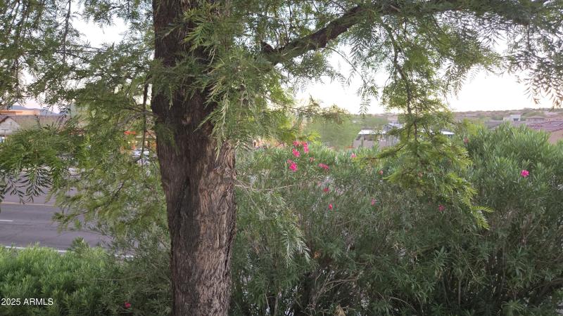 71) 60277-6902c6ad8f104