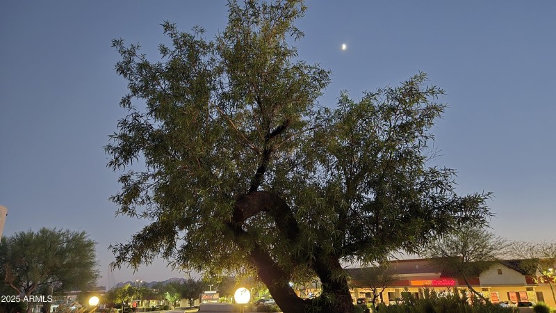 98) 60277-6902c6a7a9458