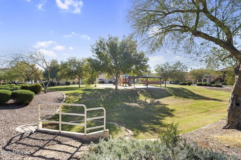 42-web-or-mls-DSC04500