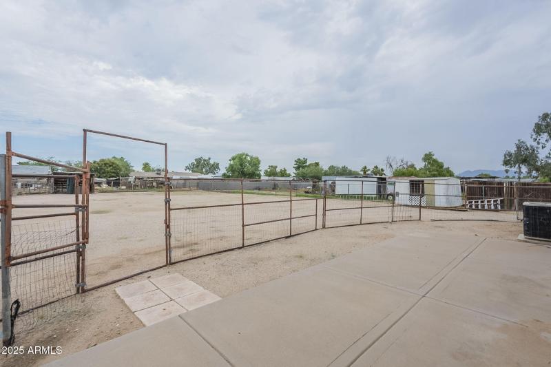 20-web-or-mls-Tonto-20