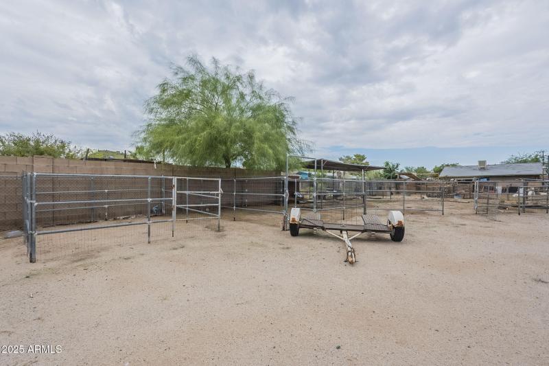 30-web-or-mls-Tonto-30