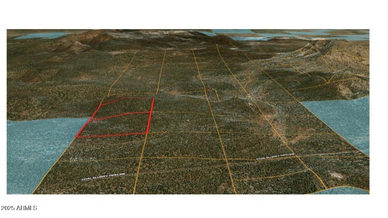 Beale Wagon - 3 d pic