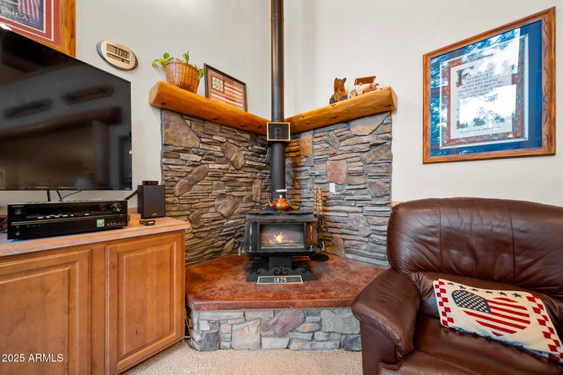 F family room wood burning stove