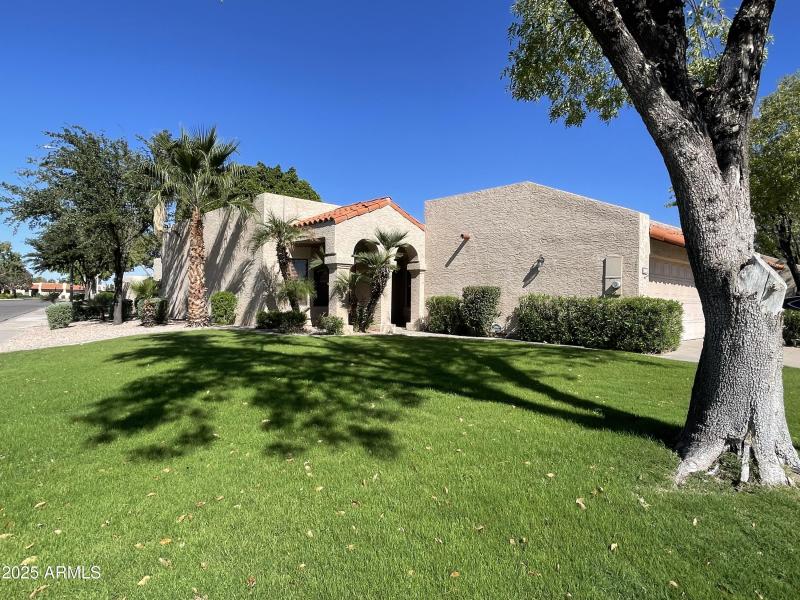 HOA MAINTAINS FRONT LAWN & TREE