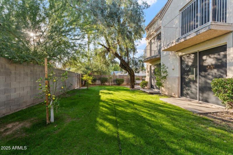 backyard2
