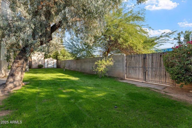 side Yard
