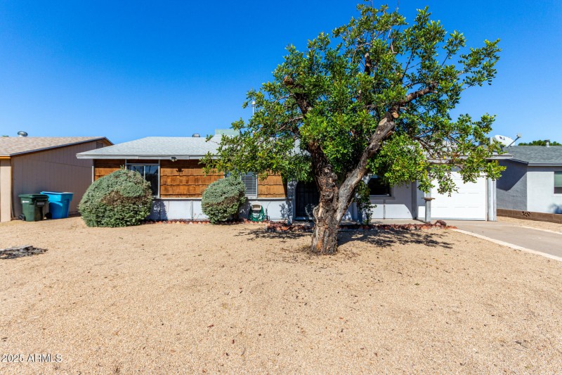 01 - Captain Dreyfus