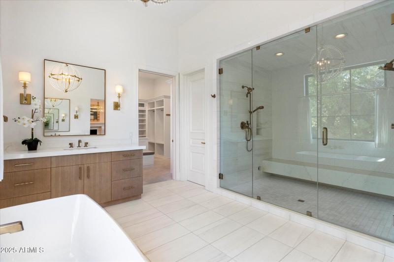 Primary steam shower