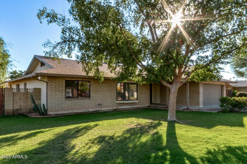 Beautiful Front Yard