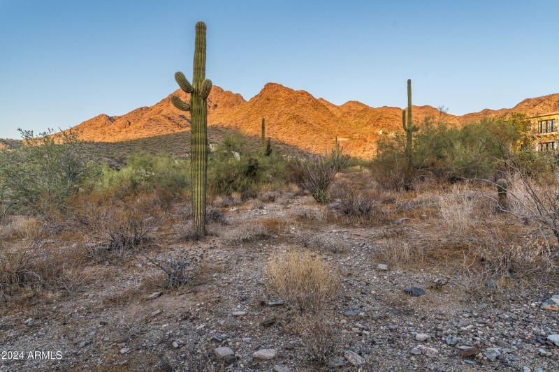 21524 N 110th Pl #1827 (9 of 43)