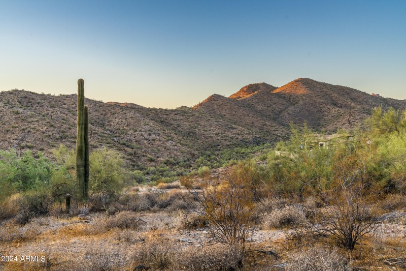 21524 N 110th Pl #1827 (11 of 43)