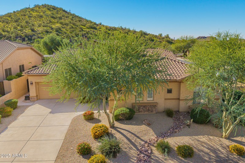 2 - Twisted Leaf Drone