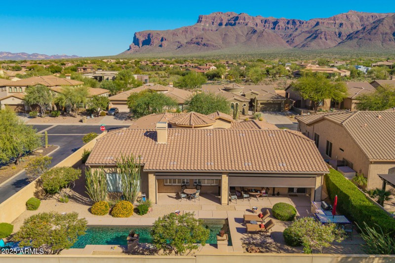 6 - Twisted Leaf Drone