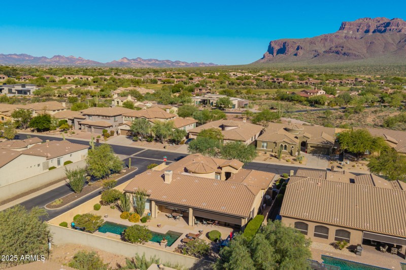 17 - Twisted Leaf Drone