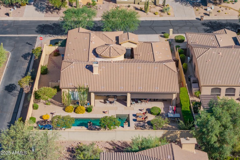 20 - Twisted Leaf Drone