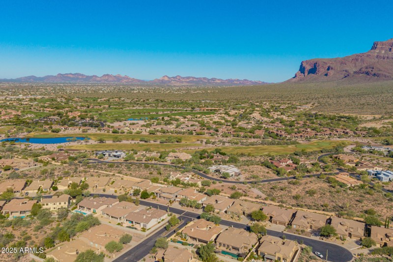 23 - Twisted Leaf Drone