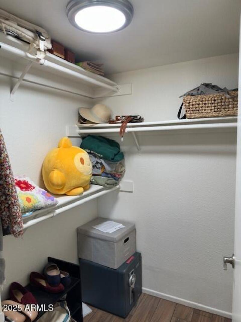 Primary Walk-In Closet