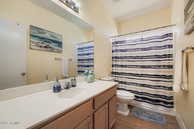 Guest bathroom
