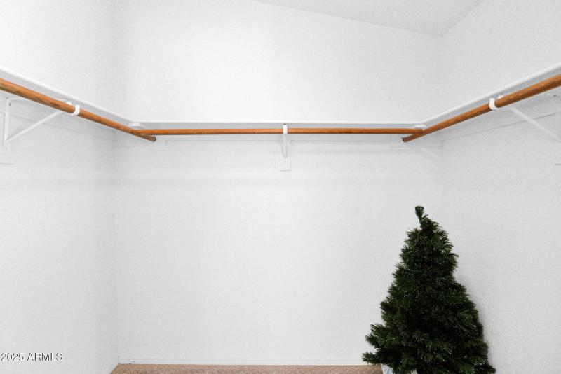 Primary Walk-in Closet