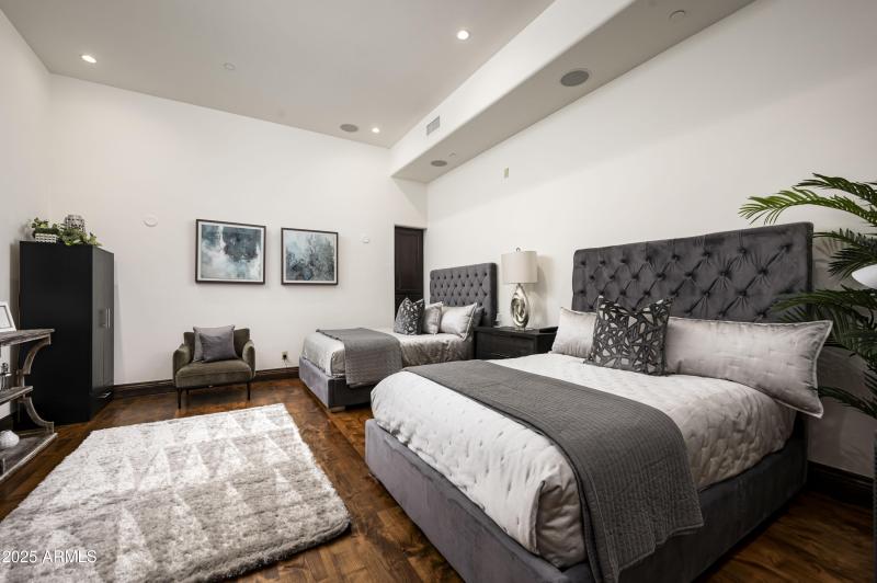 Media room/guest bed