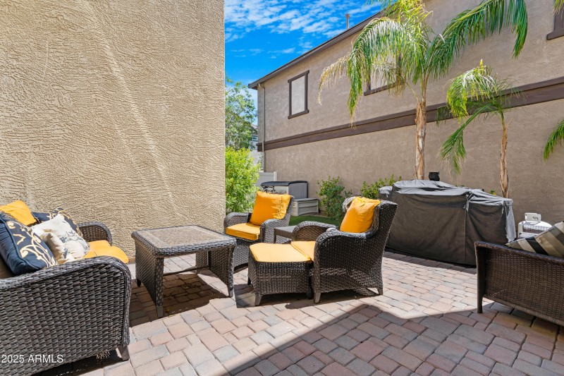 Backyard 5 (cushion replacement)