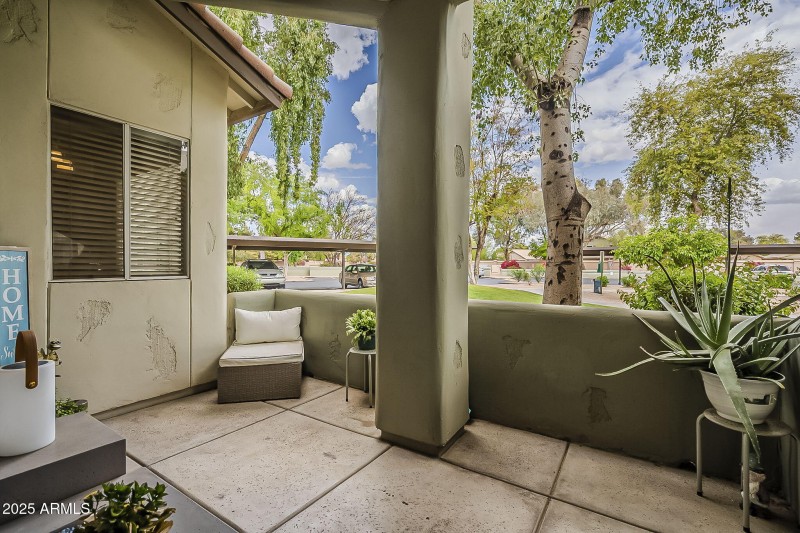 50-web-or-mls-Ray-38