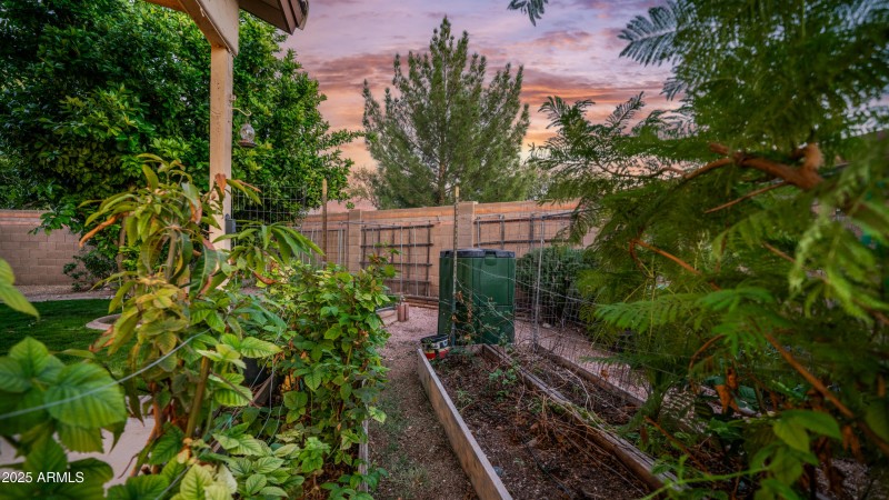 20469 N 95th Dr Exterior Photos-11