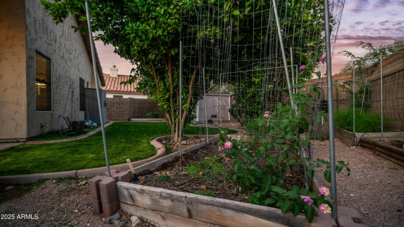 20469 N 95th Dr Exterior Photos-13