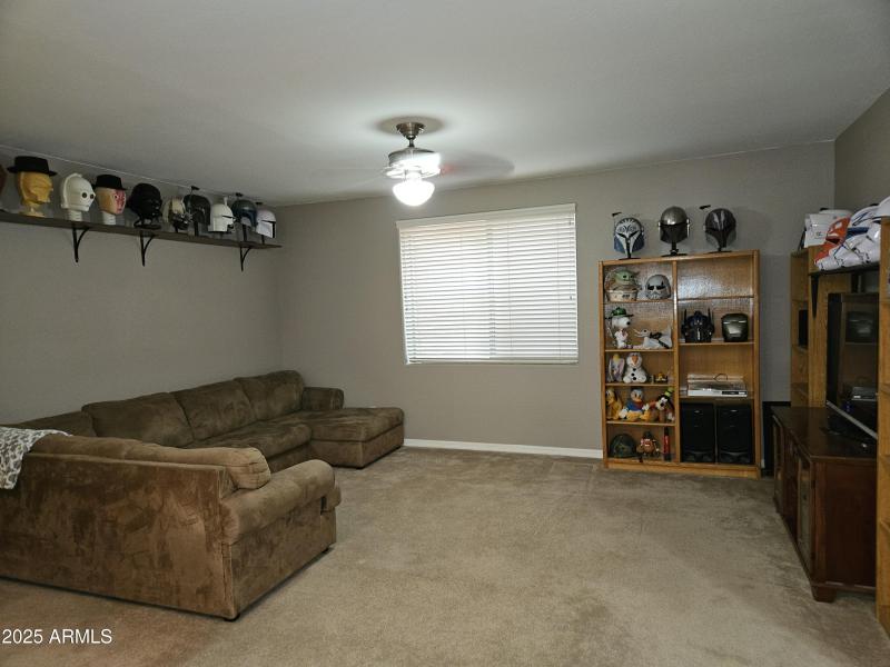 Basement Living Area