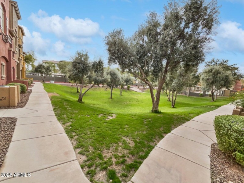 94th St chandler Park