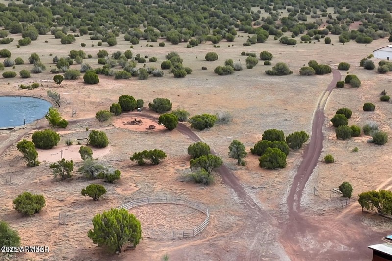 POND/PIG SPIT/VOLLEYBALL