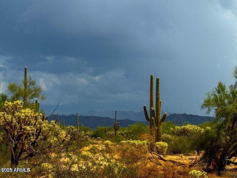 20251018022655371054000000-o