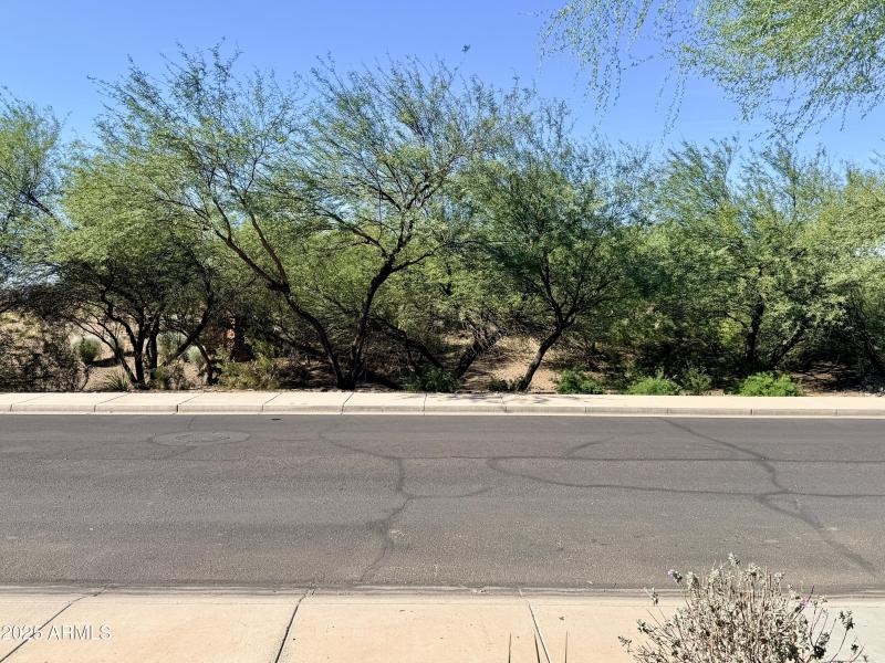 Greenbelt Across from Home