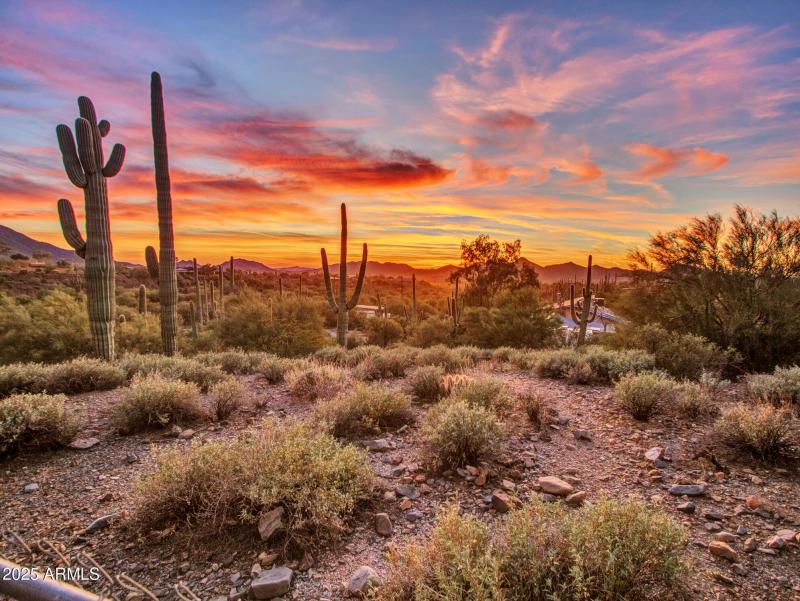 Sunset_05-View-from-Back-(1)