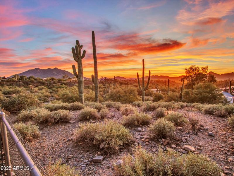 Sunset_05-View-from-Back-(2)