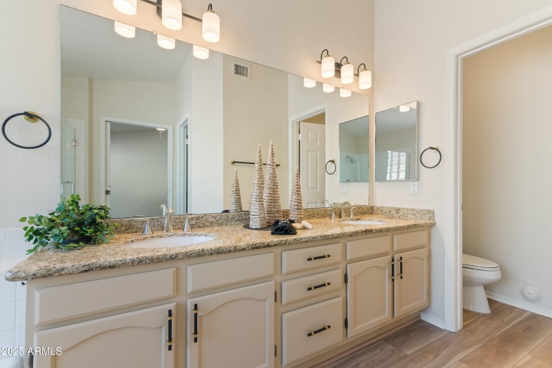 Primary Bath Vanity Area